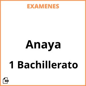 Examenes Resueltos 1 Bachillerato Anaya PDF