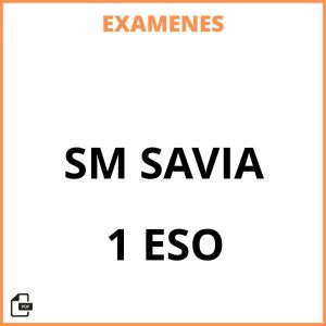 Examenes Resueltos 1 ESO SM SAVIA PDF