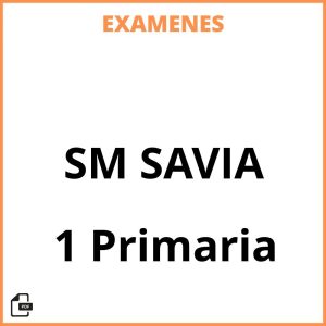 Examenes 1 Primaria SM SAVIA Resueltos PDF
