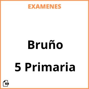 Examenes PDF 5 Primaria Bruño Resueltos