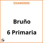 Examenes 6 Primaria Bruño Resueltos PDF