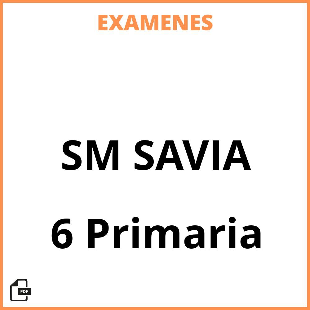 6 Primaria SM SAVIA