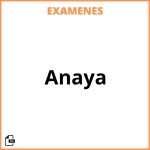 Examenes Resueltos Anaya PDF