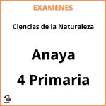 Examenes Ciencias de la Naturaleza 4 Primaria Anaya PDF Resueltos