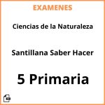 Examenes Resueltos Ciencias de la Naturaleza 5 Primaria Santillana Saber Hacer PDF