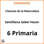 Examenes Ciencias de la Naturaleza 6 Primaria Santillana Saber Hacer Resueltos PDF