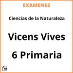 Examenes Resueltos Ciencias de la Naturaleza 6 Primaria Vicens Vives PDF