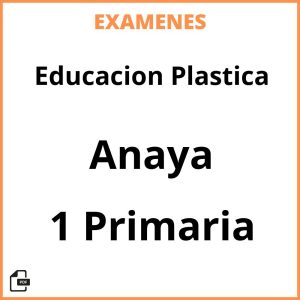 Examenes Educacion Plastica 1 Primaria Anaya Resueltos PDF