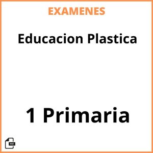 Examenes PDF Educacion Plastica 1 Primaria Resueltos