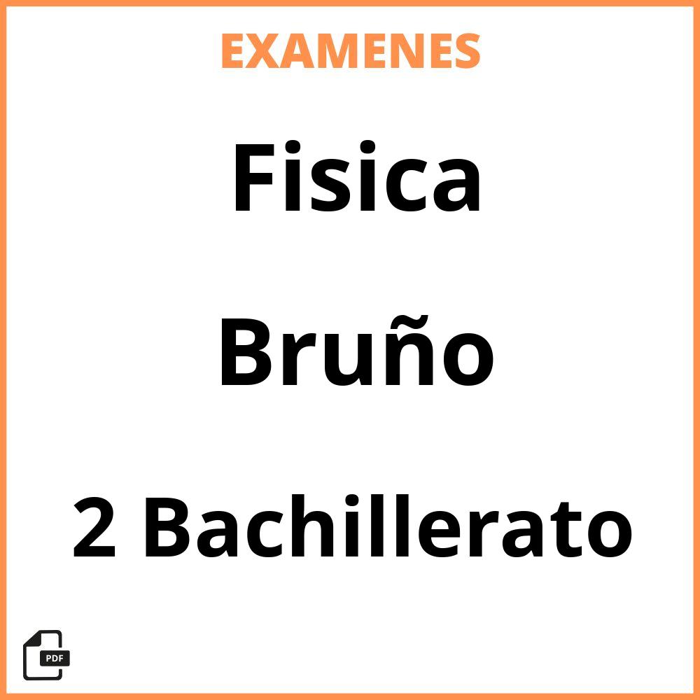 Fisica 2 Bachillerato Bruño