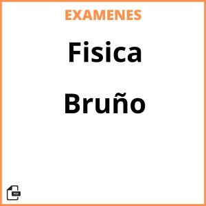Examenes Fisica Bruño PDF Resueltos