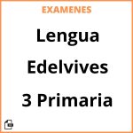 Examenes Lengua 3 Primaria Edelvives PDF Resueltos