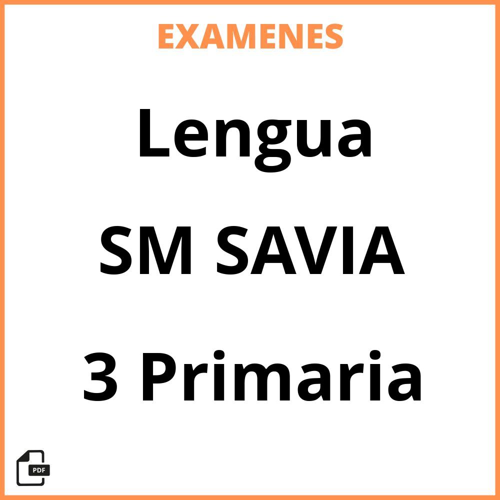 Lengua 3 Primaria SM SAVIA