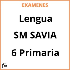 Examenes Resueltos Lengua 6 Primaria SM SAVIA PDF