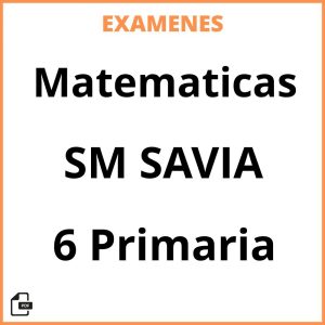 Examenes PDF Matematicas 6 Primaria SM SAVIA Resueltos