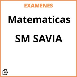 Examenes PDF Matematicas SM SAVIA Resueltos