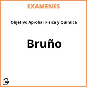 Examenes Objetivo Aprobar Fisica y Quimica Bruño Resueltos PDF