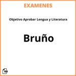 Examenes Objetivo Aprobar Lengua y Literatura Bruño PDF Resueltos