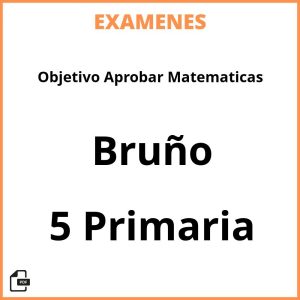 Examenes Objetivo Aprobar Matematicas 5 Primaria Bruño Resueltos PDF