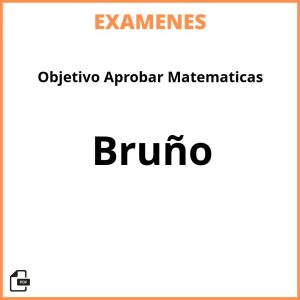 Examenes Objetivo Aprobar Matematicas Bruño PDF Resueltos