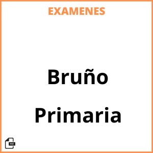 Examenes PDF Primaria Bruño Resueltos